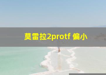 莫雷拉2protf 偏小